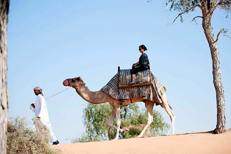 camel riding at banyan tree alwadi hotel uae