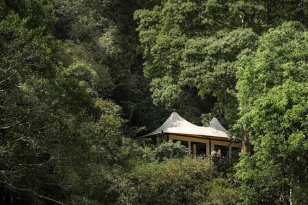 treehouse at four seasons tented camp resort chiang rai