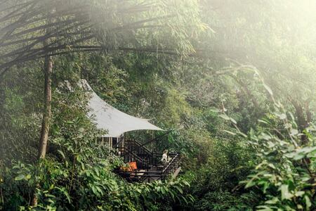 treehouse at four seasons tented camp resort chiang rai