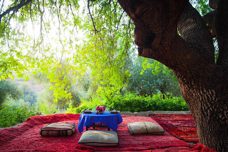 forest dining at beldi country club morocco