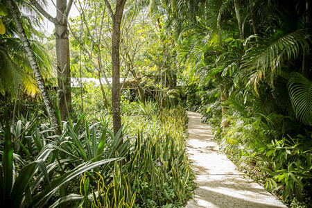 garden at harmony hotel costa rica