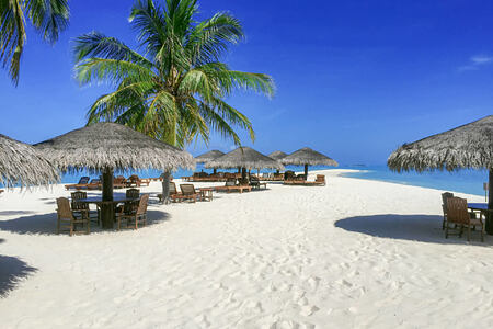 beach at palm beach resort and spa maldives