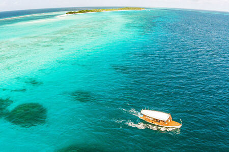aerial view of beach at palm beach resort and spa maldives