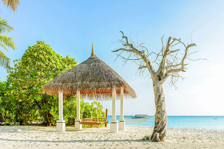 beach hut at palm beach resort and spa maldives