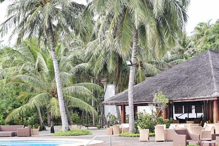 pool at palm beach resort and spa maldives