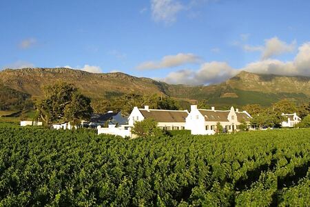 Steenberg Hotel and Vineyards south africa