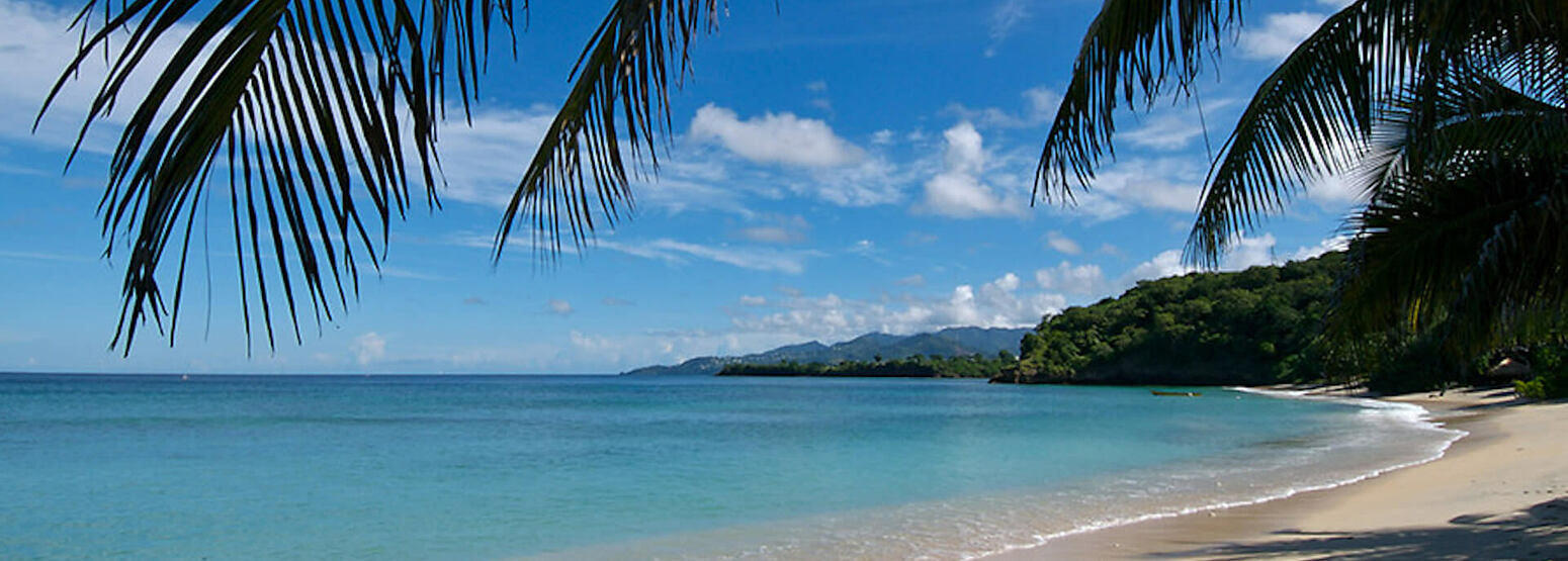 beach at laluna hotel caribbean