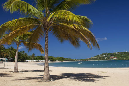 beach at rendezvous st lucia at rendezvous resort st lucia caribbean