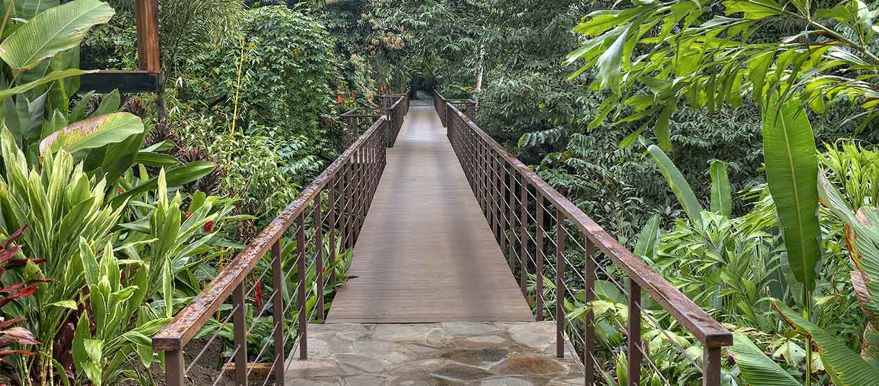 canopy walkway at nayara springs hotel costa rica