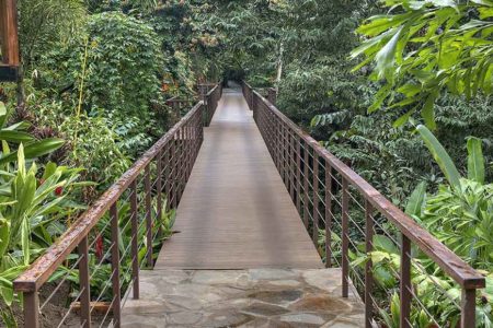 canopy walkway at nayara springs hotel costa rica