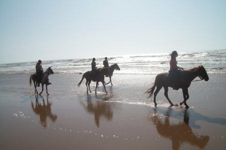 horse riding on essaouira beach