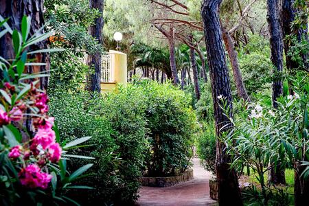 lush gardens amid pine trees at Pineta Hotel Italy