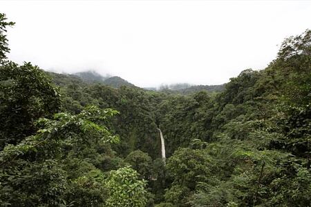 nearby waterfall at lost iguana hotel costa rica