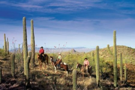 riding in the arizona desert Rancho de los Caballeros