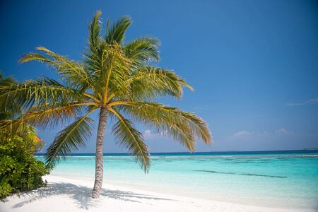 beach at coco palm dhuni kolhu resort maldives