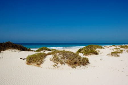saadiyat beach at st regis island resort abu dhabi
