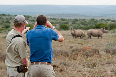 Big Game Walk with two men looking at rhino at Kwandwe South Africa