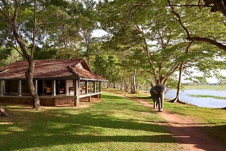 Landscape with Lake and elephant at Chaaya Village Sri Lanka