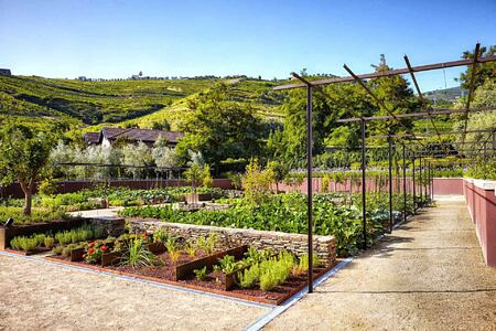 Organic Garden at Six Senses Douro Valley Portugal