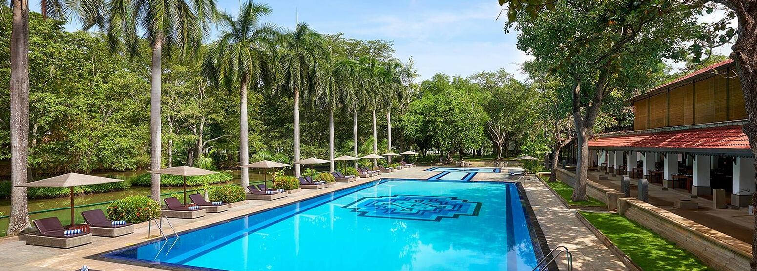 Pool with coconut palms to one side at Cinnamon Lodge Sri Lanka