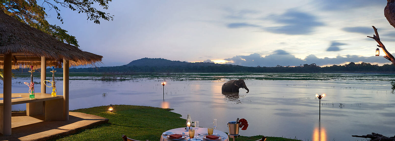 Romantic Dining at lake at Chaaya Village Sri Lanka