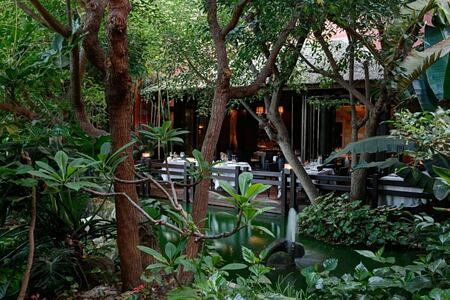 restaurant nestling among asian foliage at Asia Gardens Hotel Spain