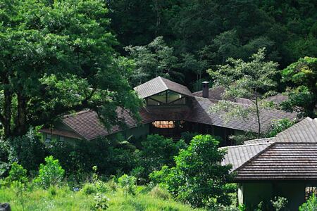 Aerial view of huts among trees at El Silencio Lodge Costa Rica