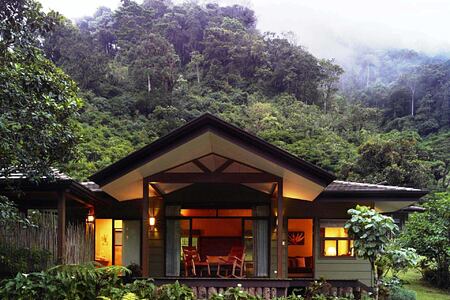 Backdrop of jungle at El Silencio Lodge Costa Rica