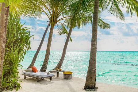 Beach and palms at Como Maalifushi Maldives