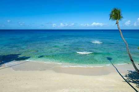 Beach at Tamarind Barbados