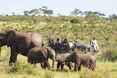 Game vehicle with elephants at Londolozi South Africa