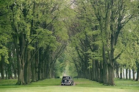 Tree-lined drive at Lucknam Park England
