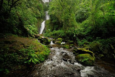 Waterfall near El Silencio Lodge Costa Rica