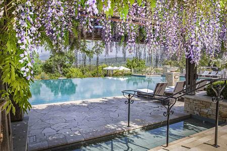 Wisteria blooms and pool at Terre Blanche Golf and Spa Resort France