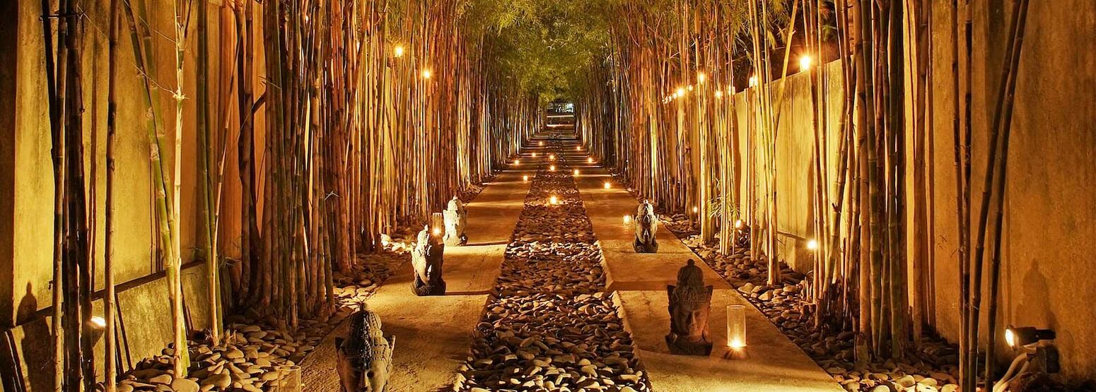Atmospheric walk between bamboos at one our best spa holidays for couples