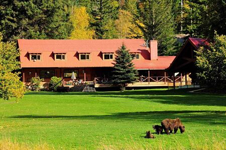 Bears in front of Tweedsmuir Park Lodge Canada