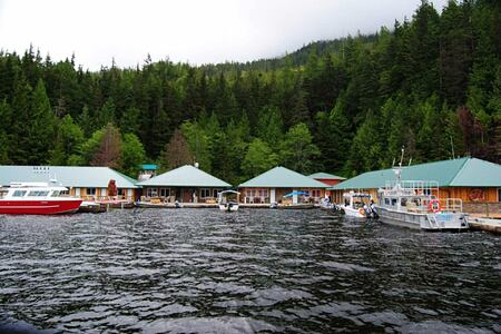 Cabins on the water at Knight Inlet Lodge Canada