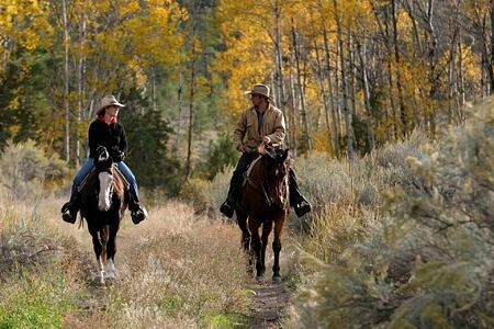 Riders on Cottonwood at Sundance Guest Ranch Canada