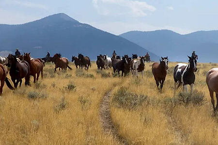 Rounding up horses Silver Spur Ranch Idaho USA